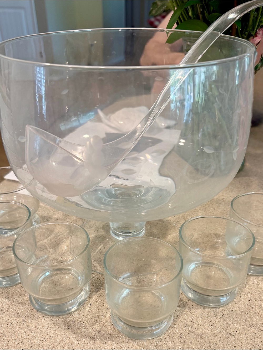Vintage Princess House Etched Glass pedestal punch bowl & 12 etched tumblers